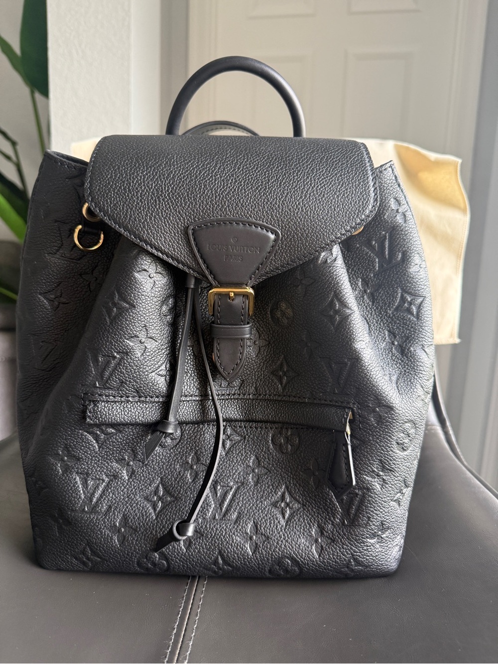 Brand New Louis Vuitton Montsouris PM Backpack